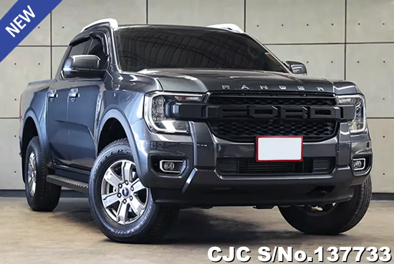 Ford Ranger in Gray for Sale Image 0