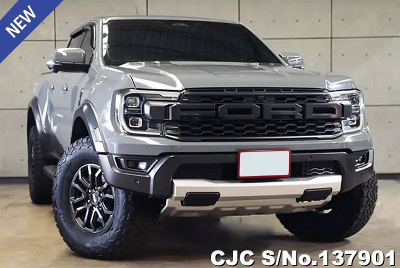 Ford Ranger in Gray for Sale Image 0